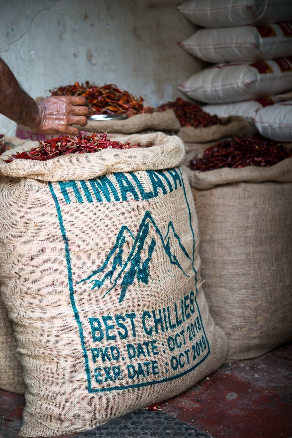 Chili ist nicht gleich Chili: Pul Biber, Kashmiri Chili und Scotch Bonnet richtig verwenden