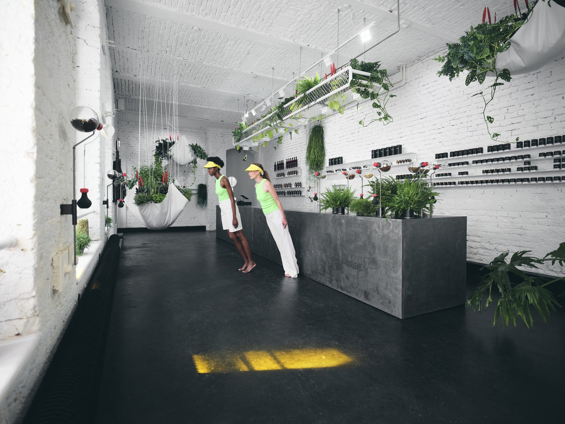 Workshops & Master Classes