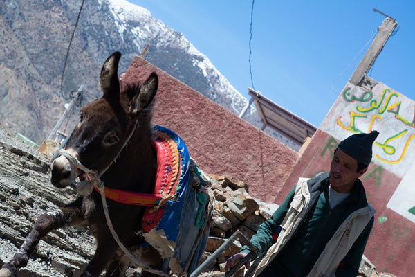 Marrakesh Express // Habibi Souk Experience