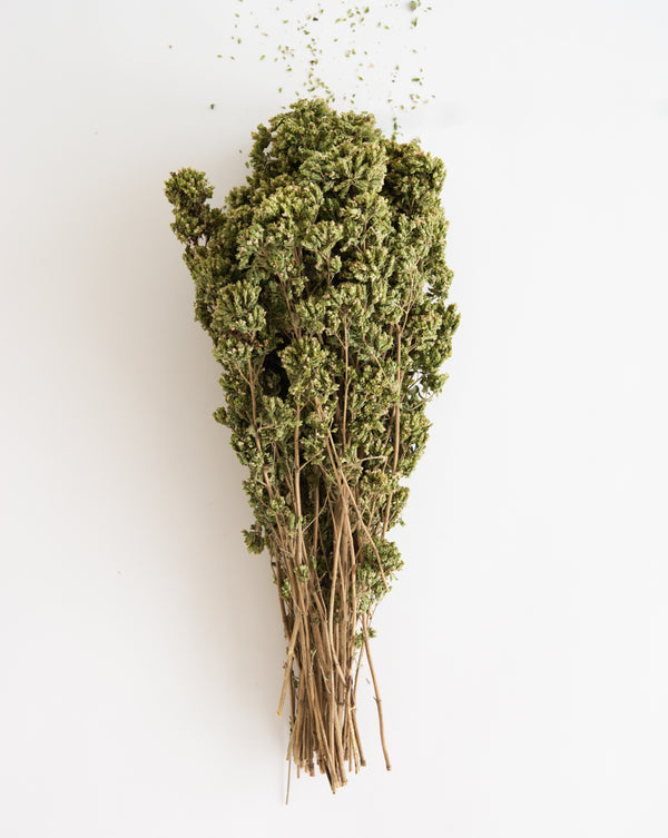 Oregano, Premium