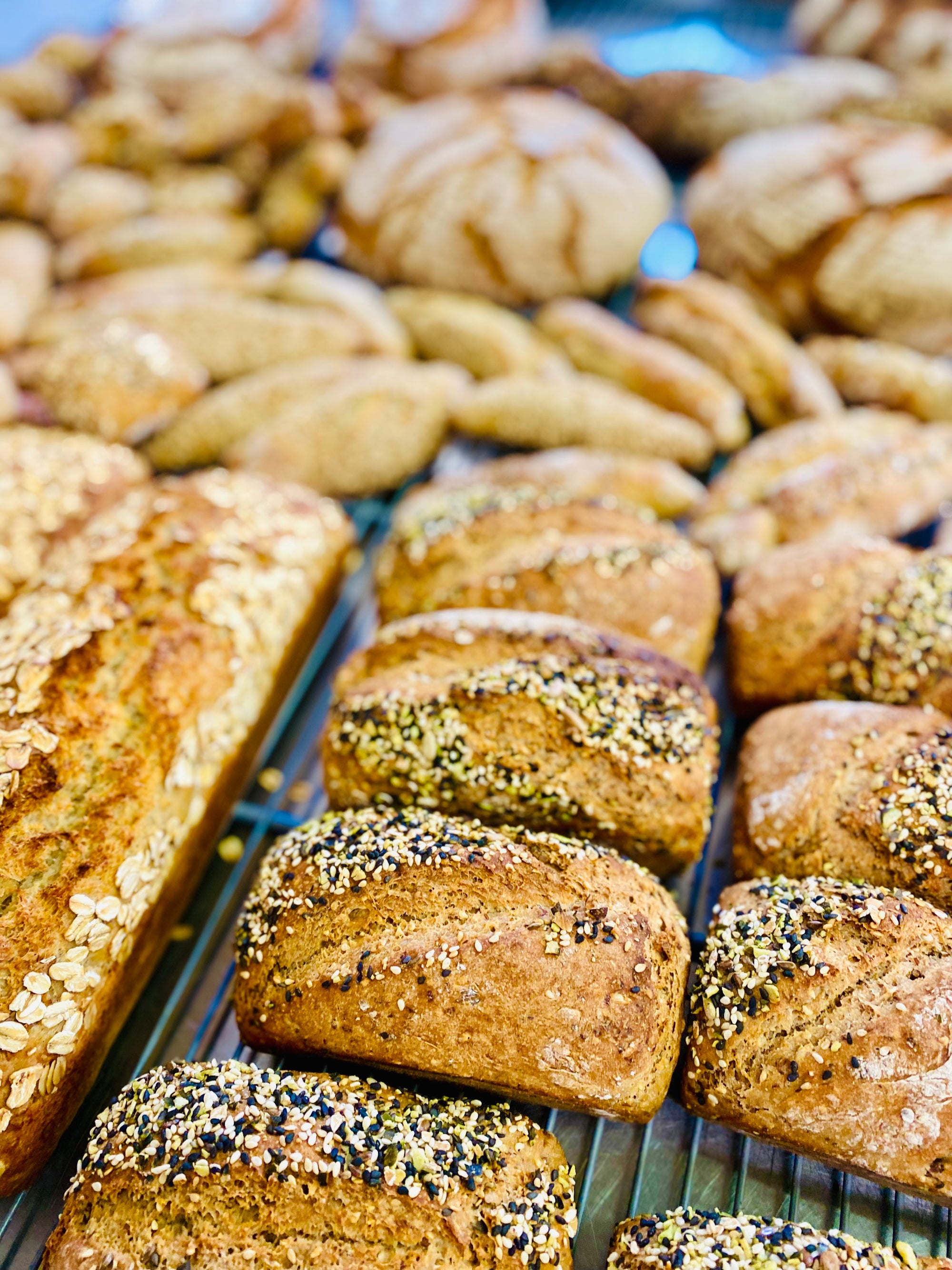 Master Class - Brot backen Natursauerteig (mit Brot-Expertin und Paneologin Eva Maria Lipp)