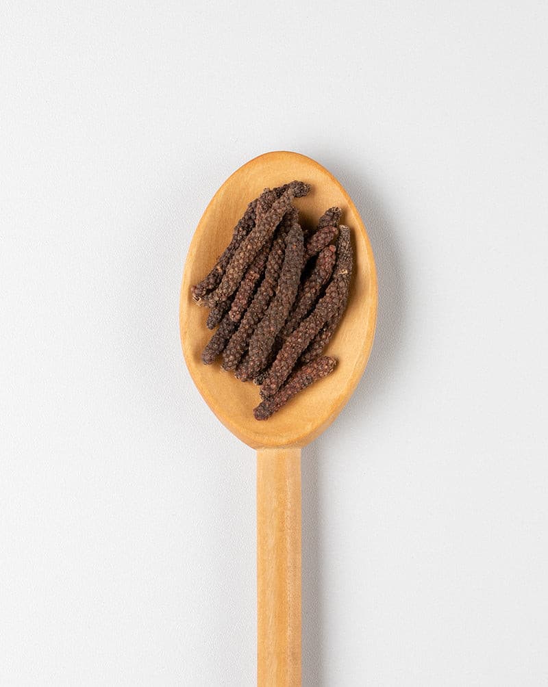 Vietnamesischer Langpfeffer, rot, Wildsammlung.