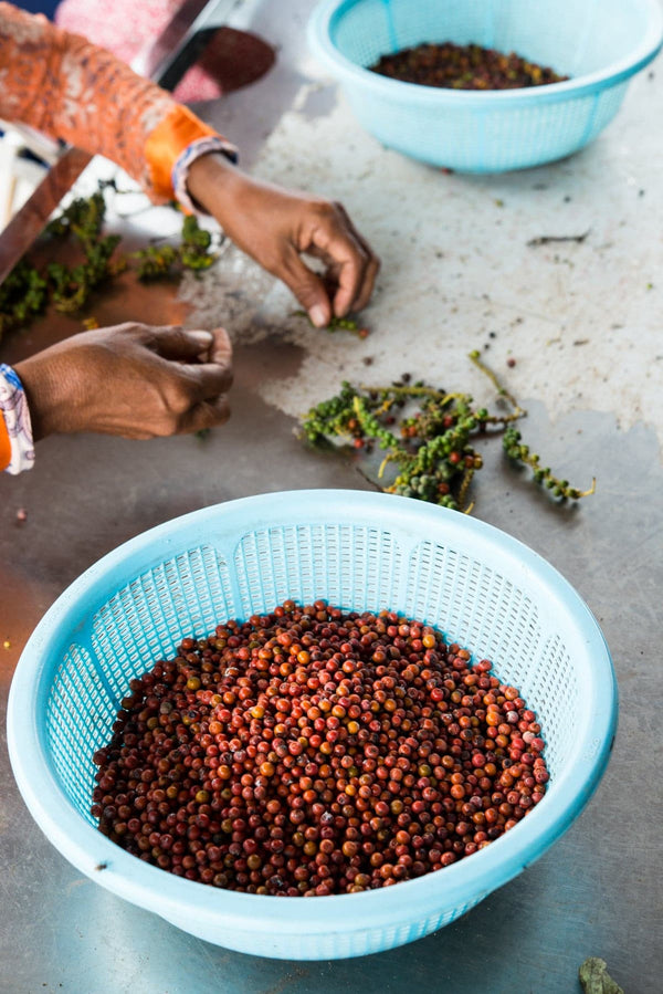 Echter roter Kampot Pfeffer.