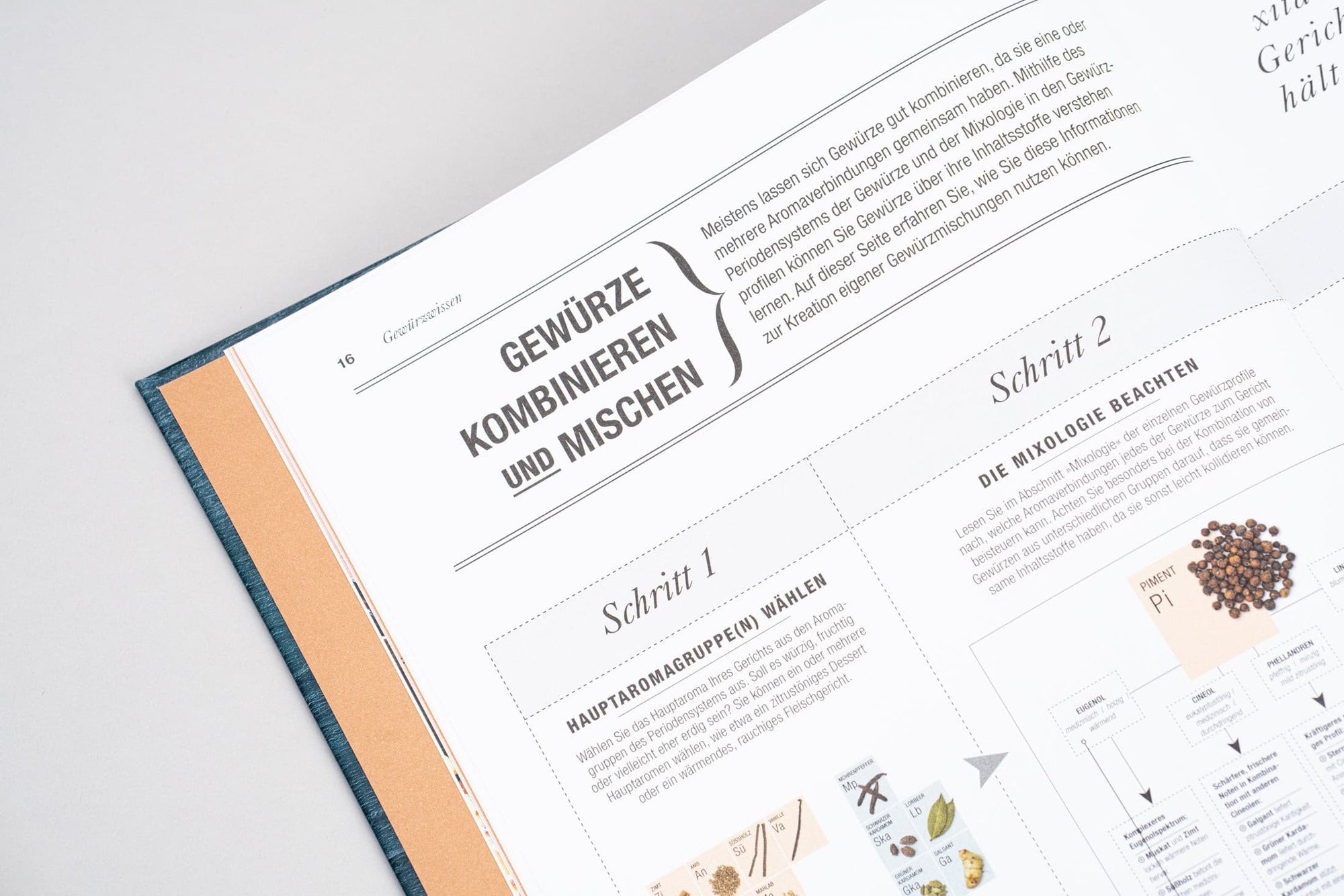 Gewürze- Aromen kombinieren, Kochen perfektionieren.
